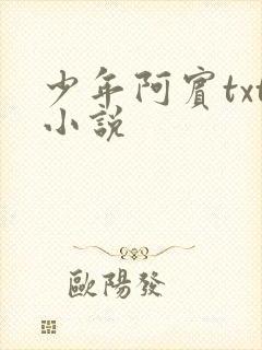 少年阿宾txt小说封面