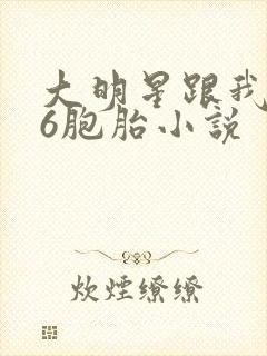 大明星跟我生了6胞胎小说封面