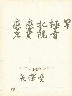 恋恋北极星泰剧免费观看封面