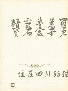 精灵梦叶罗丽之宝石盒子免费观看