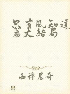 只有风知道番外篇大结局封面