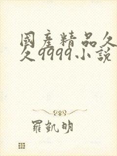 国产精品久久久久9999小说