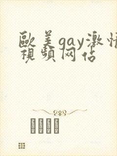 欧美gay激情视频网站