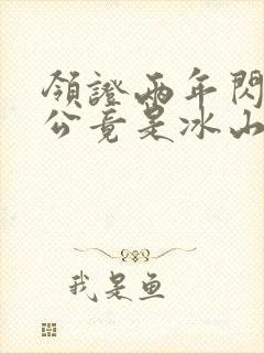 领证两年闪婚老公竟是冰山上司