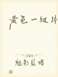 黄色一级片511封面