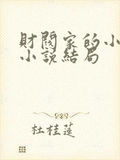 财阀家的小儿子小说结局