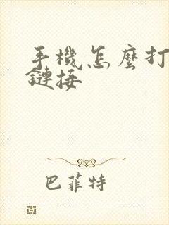 手机怎么打开磁链接