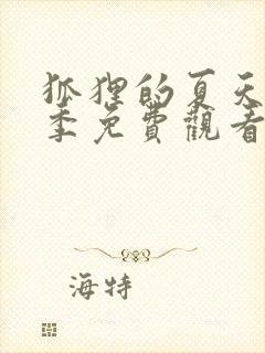 狐狸的夏天第二季免费观看全集