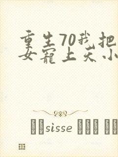重生70我把妻女宠上天小说