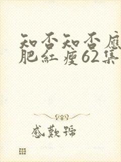 知否知否应是绿肥红瘦62集全免费封面