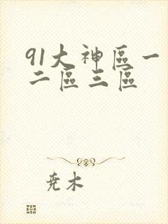 91大神区一区二区三区