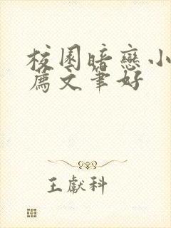 校园暗恋小说推荐文笔好