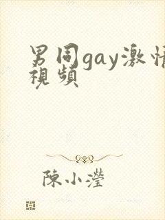 男同gay激情视频