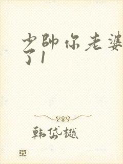 少帅你老婆又跑了1