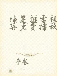 他是谁电视剧全集免费播放24集