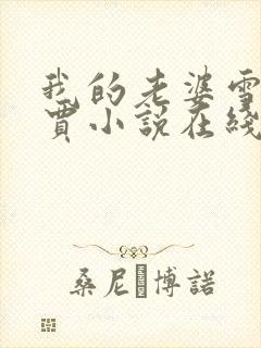 我的老婆雪儿老贾小说在线阅读