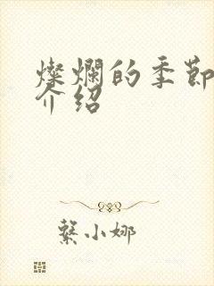 灿烂的季节剧情介绍