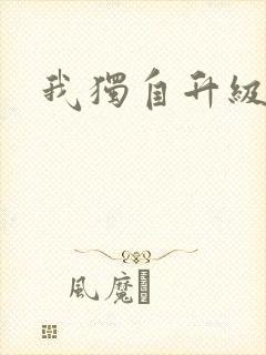 我独自升级小说