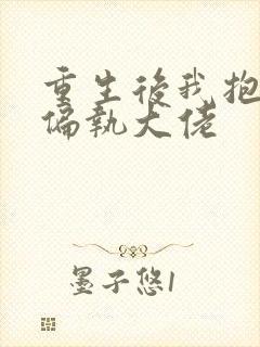 重生后我抱紧了偏执大佬