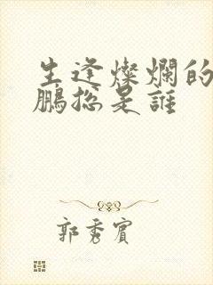 生逢灿烂的日子鹏总是谁