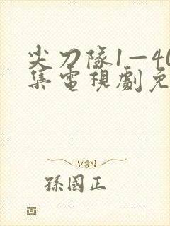 尖刀队1—40集电视剧免费观看封面