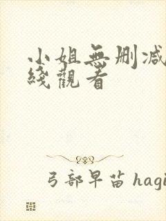 小姐无删减版在线观看