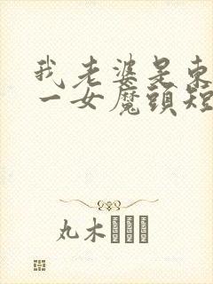 我老婆是东晋第一女魔头短剧全集