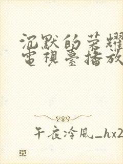 沉默的荣耀哪个电视台播放封面