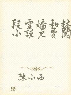 段雪娇和林杰的小说免费阅读