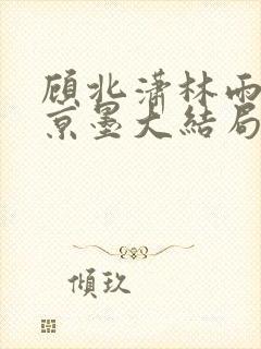 顾北潇林雨菲谢京墨大结局