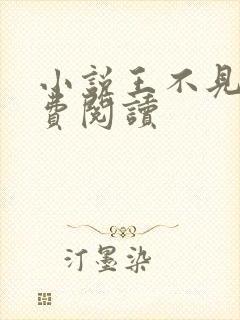 小说王不见王免费阅读