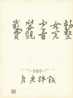 武装少女动漫免费观看完整版高清