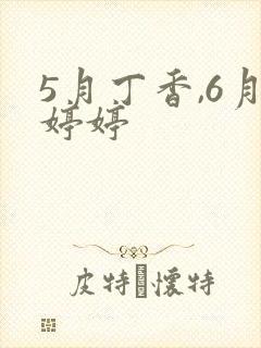 5月丁香,6月婷婷