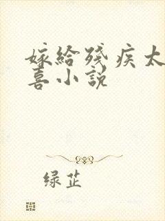 嫁给残疾太子冲喜小说