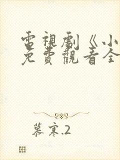 电视剧《小舅》免费观看全集高清封面