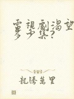 电视剧渴望一共多少集?