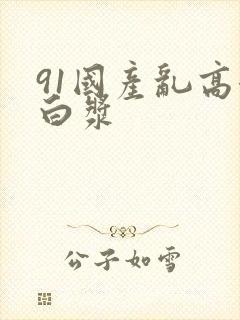 91国产乱高潮白浆