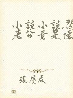 小说小说,闪婚老公竟是亿万总裁