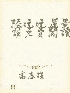 陆晚晚厉景琛小说免费阅读封面