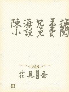 陈海兄弟换老婆小说免费阅读封面
