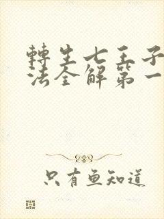 转生七王子的魔法全解第一季在线观看