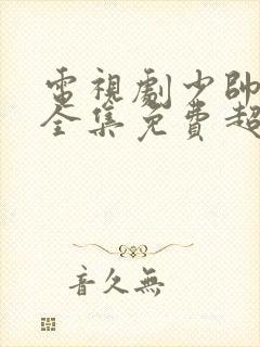 电视剧少帅48全集免费超清