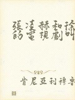 张凌赫和徐若晗的电视剧叫什么封面