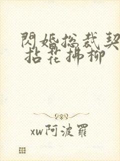 闪婚总裁契约妻 拈花拂柳