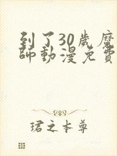 到了30岁魔法师动漫免费观看封面