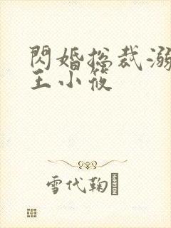 闪婚总裁溺宠妻王小筱