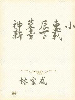 神墓辰东小说最新章下载