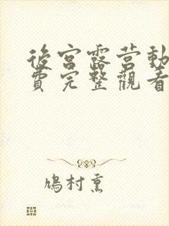 后宫露营动漫免费完整观看