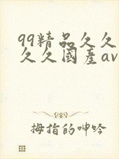 99精品久久久久久国产av