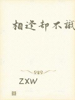 相逢却不识短剧